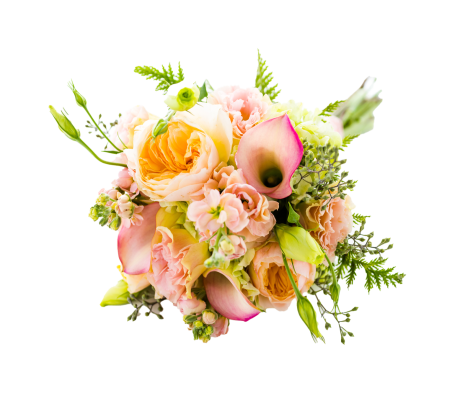 Soft floral arrangement symbolizing transparency, healing, and accountability on the Vista Community Clinic documentation page